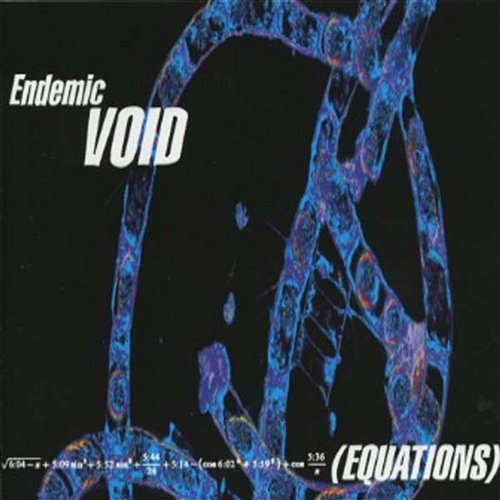 Equations ENDEMIC VOID