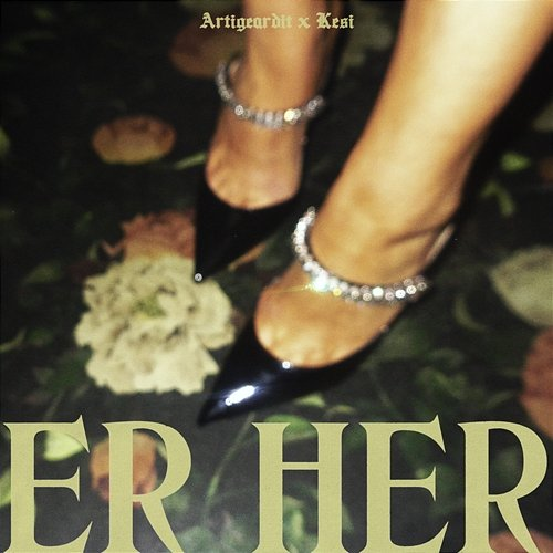 Er Her Artigeardit, Kesi