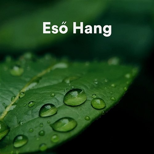Eső Hang Fehér Zaj, Fehér Zaj Az Alváshoz, Eső Hangok