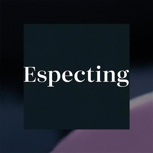 Especting Brick Walden