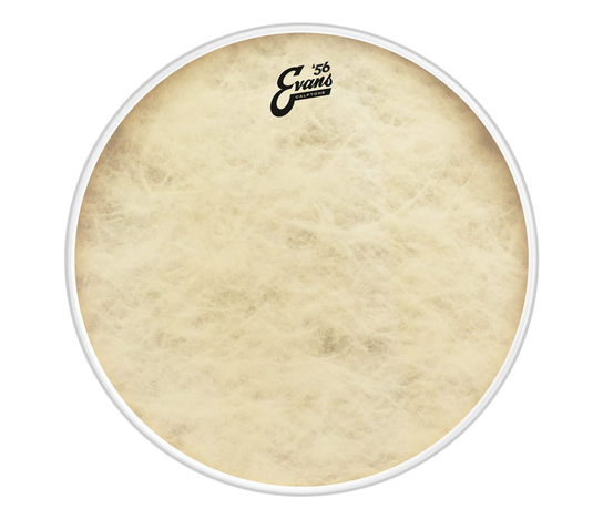 EVANS Calftone 12" Evans