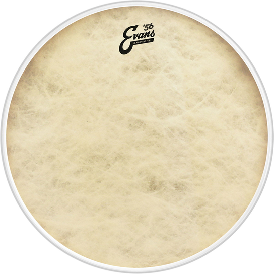 EVANS EQ4 Calftone 16" Evans