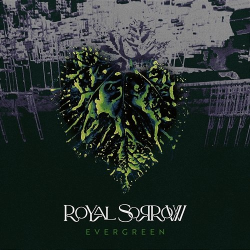 Evergreen Royal Sorrow