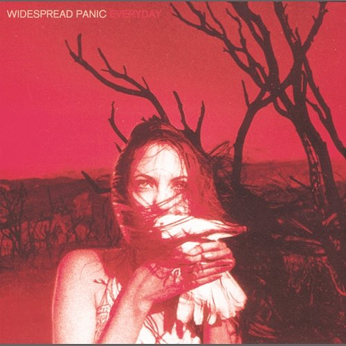Everyday Widespread Panic