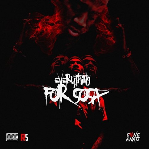 Everything for Sosa R5 Homixide