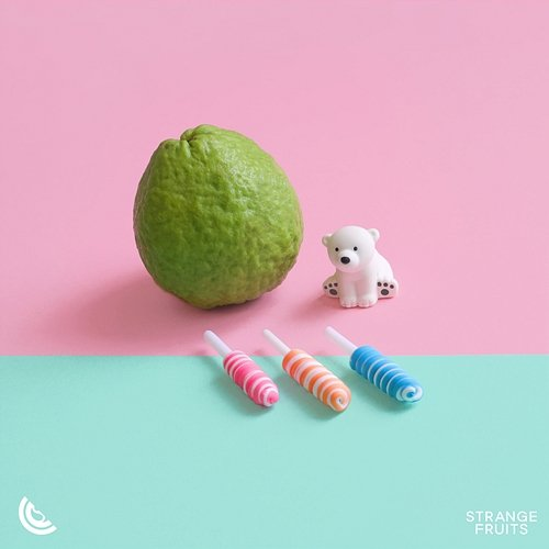 Everything I Wanted Dance Fruits Music