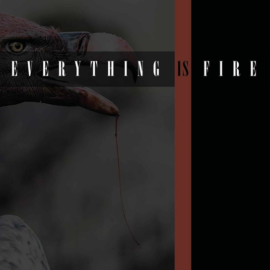 Everything Is Fire Everything Is Fire