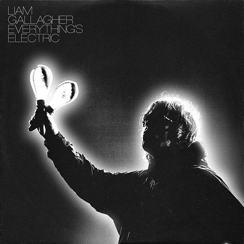 Everything's Electric Liam Gallagher