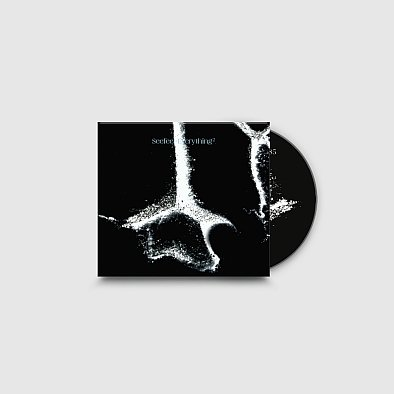 Everything Squared Seefeel