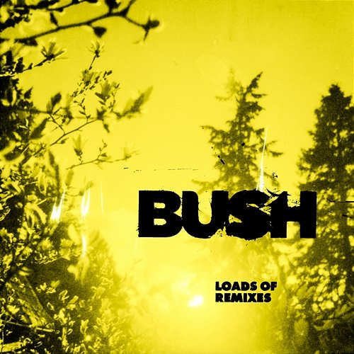 Everything Zen FEVER 333, Bush