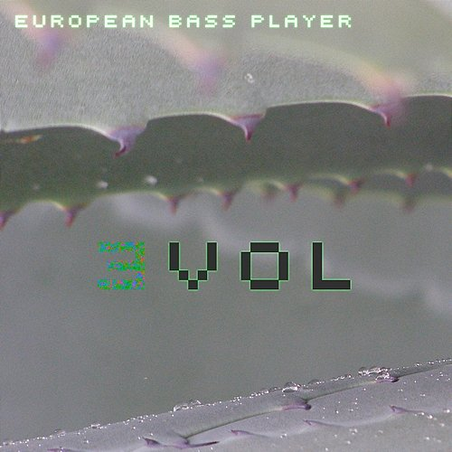Evol European Bass Player