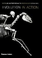 Evolution in Action Panafieu Jean-Baptiste, Gries Patrick