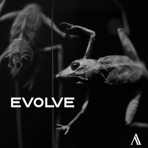 Evolve LDN Affair