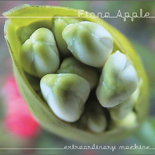 Extraordinary Machine Fiona Apple