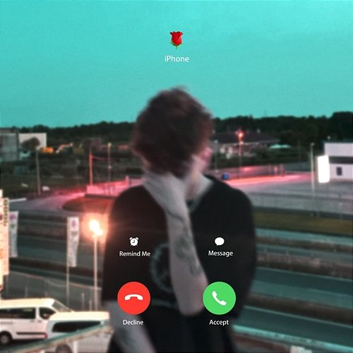 FACETIME Red Roses