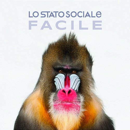 Facile Lo Stato Sociale