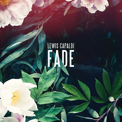 Fade Lewis Capaldi