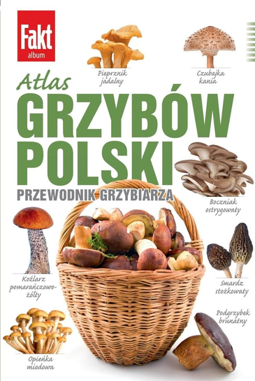 Fakt Album Ringier Axel Springer Polska Sp. z o.o.
