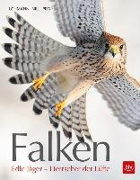 Falken Lohmann Michael