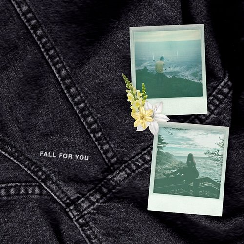 fall for you Steve James