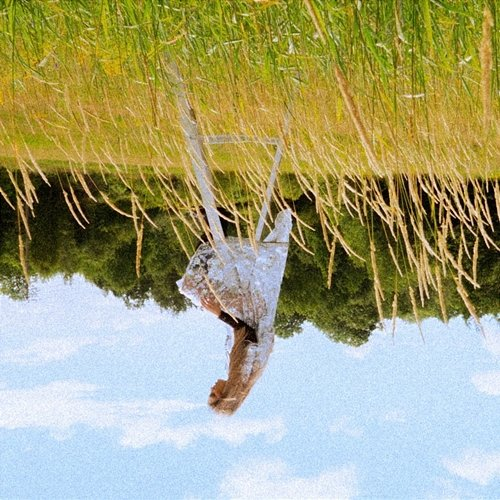 Fall Like a Feather Maggie Andrew