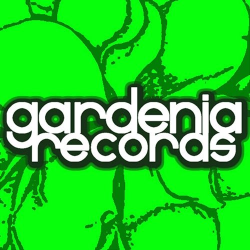 Fallin' up Gabriele Bardoscia