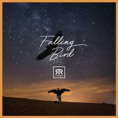 Falling Bird Ricky Rich
