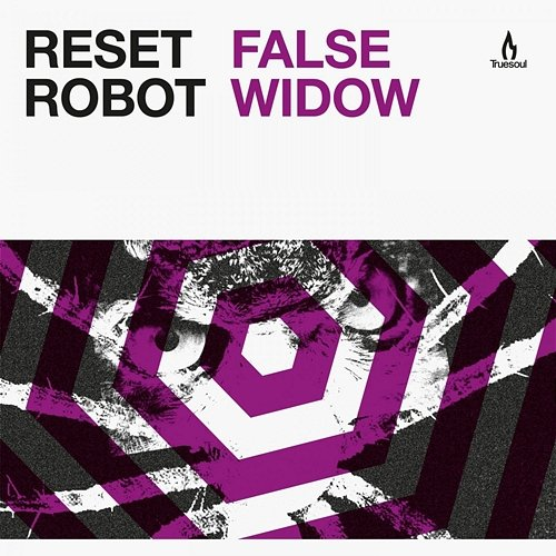 False Widow Reset Robot