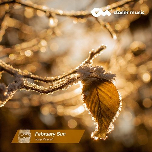 February Sun Tony Pascall