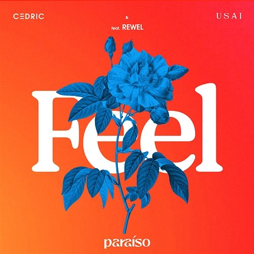 FEEL C3DRIC & USAI feat. REWEL