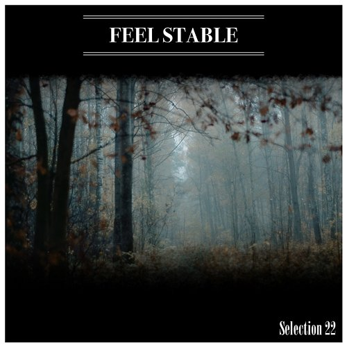 Feel Stable Selection 22 Mauro Rawn