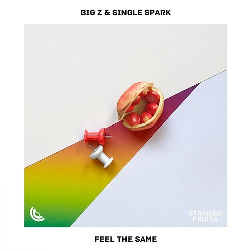 Feel The Same Big Z & Single Spark