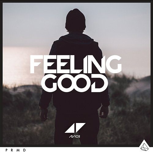 Feeling Good Avicii