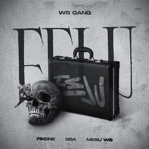 FELU WS GANG, Pikone, Meșu WS feat. GSA