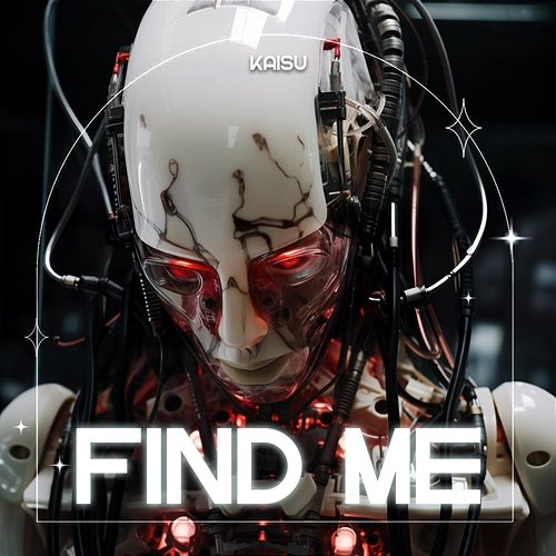 Find Me Kaisu