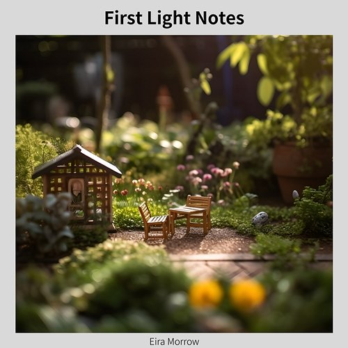 First Light Notes Eira Morrow