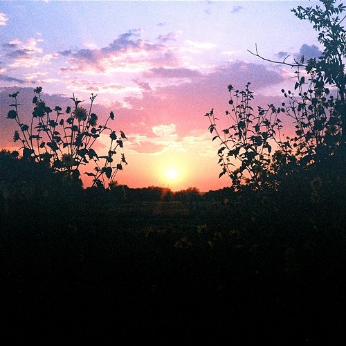 five gnash, Garrett Nash