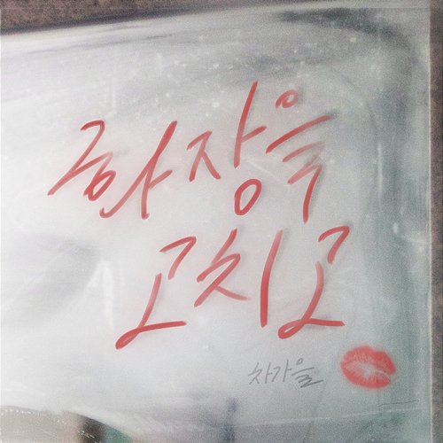 Fix make-up Cha ga eul