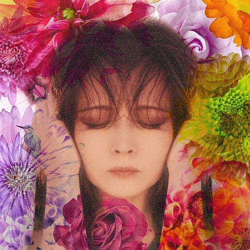 Fixer Akina Nakamori