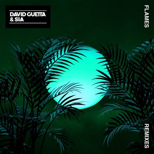 Flames David Guetta & Sia