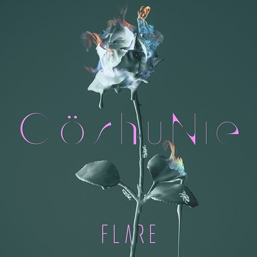 FLARE Cö Shu Nie