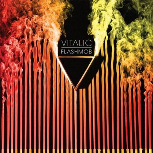 Flashmob Vitalic