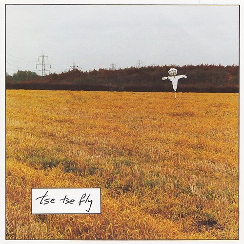 Fledgeling Tse Tse Fly