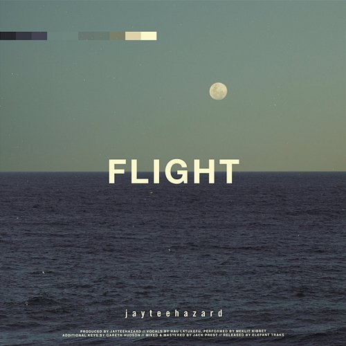 Flight Jayteehazard