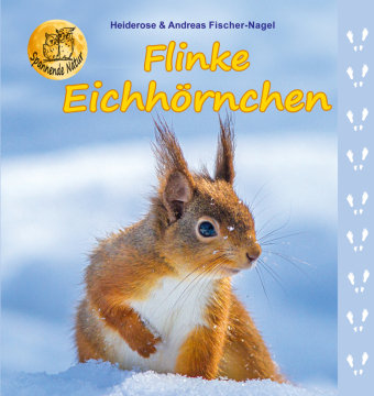Flinke Eichhörnchen Fischer-Nagel