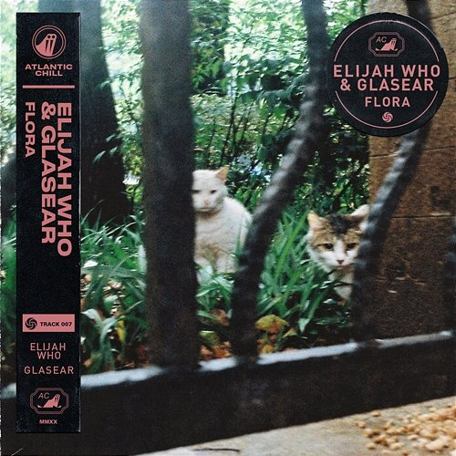 Flora Elijah Who & Glasear