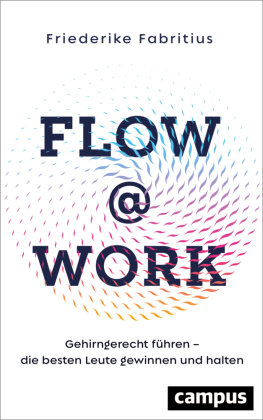 Flow@Work Campus Verlag