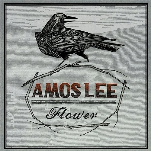 Flower Amos Lee