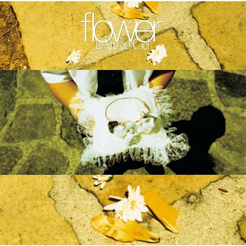flower L'Arc-en-Ciel