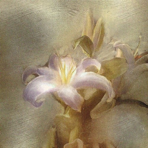 flower yung kai